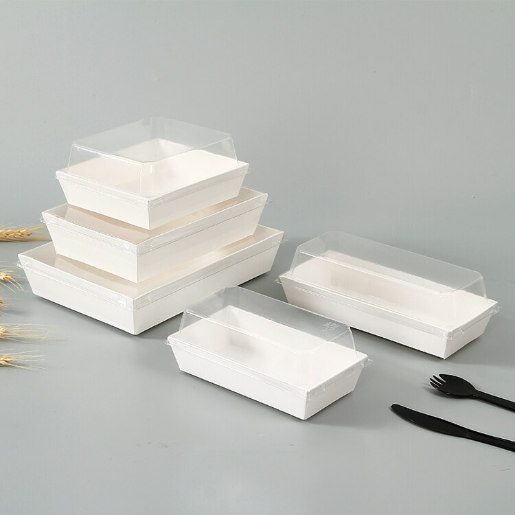 Bespoke Plastic Box Packaging Manufacturer: Crafting Customized Solutions for Your Business