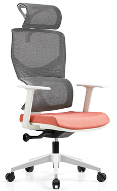 Modern Executive Ergonomic Office Chairs