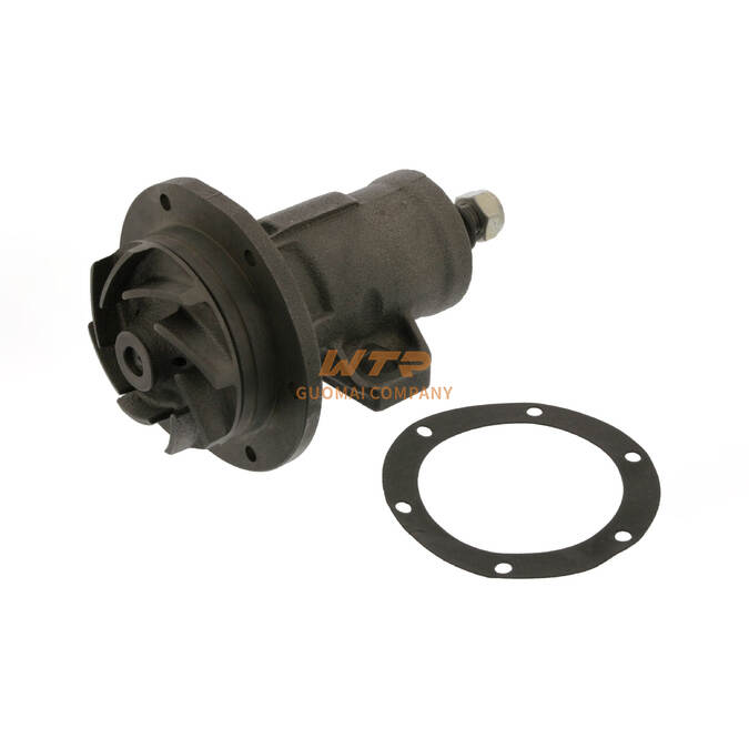 Water Pump 5001837322,5010248921 for RENAULT