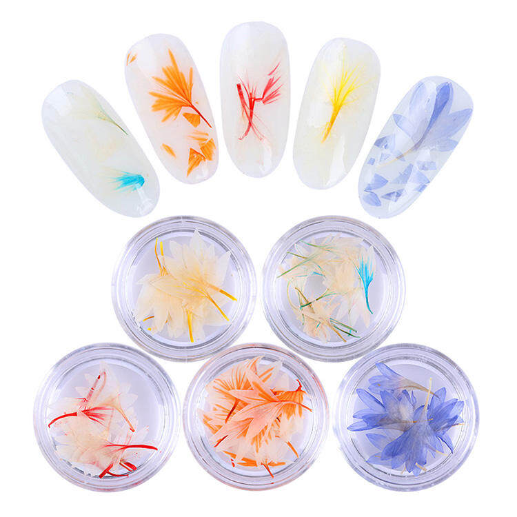 12 colors nail art decorations natural dried flower